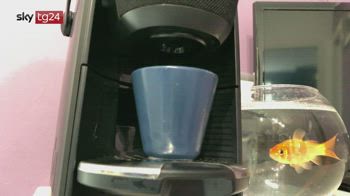 Recensione macchina del caffè smart Lavazza A Modo Mio Voicy con   Alexa