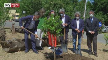 Giornata mondiale dell'ambiente, raccolta fondi di Legambiente per piantare alberi in citt�