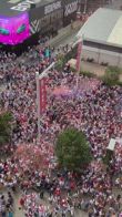 tifosi inghilterra wembley