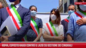 Roma, esposto Raggi contro il Lazio su gestione dei cinghiali