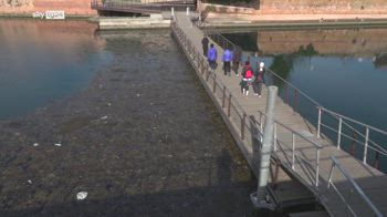 Acque pulite, a Rimini le barriere anti plastica e rifiuti