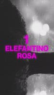 Boss doms Pink Flying Elephant milano video