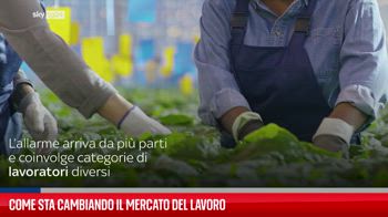 Come sta cambiando il mercato del lavoro