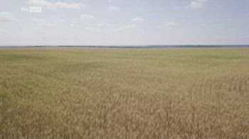 Guerra Ucraina, Turchia annuncia accordo per l'esportazione del grano