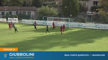 Serie D, Top Gol 10^ giornata (12^gironi A e D)