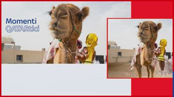momenti qatartici cammelli concorso bellezza