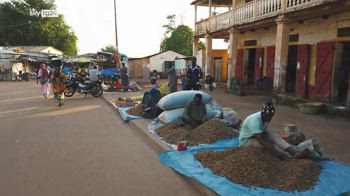 Crisi alimentare, in Senegal l'uso dei prodotti locali per essere indipendenti