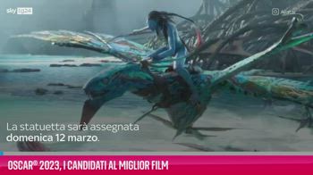 VIDEO Oscar® 2023, i candidati al Miglior Film