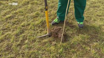 forestami, obiettivo rinverdire Milano coinvolgendo i cittadini