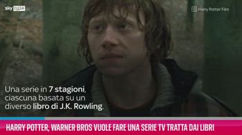 Harry Potter, tutto quello che c'è da sapere sulla serie tv HBO I Sky TG24