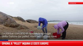 Spagna, il "pellet" inquina le coste europee