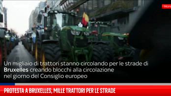 Mille trattori per le strade di Bruxelles, blocchi e roghi