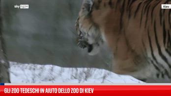 Lo zoo di Kiev riceve donazioni di cibo dalla Germania