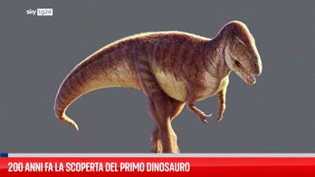 200 anni fa la scoperta del primo dinosauro
