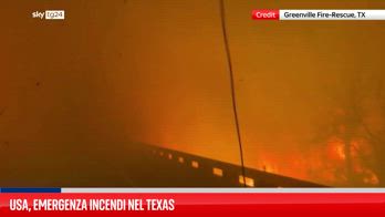 Stati Uniti, incendi distruggono boschi nel nord del Texas