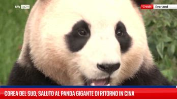 La folla saluta il panda gigante allo zoo sudcoreano prima del suo ritorno in Cina