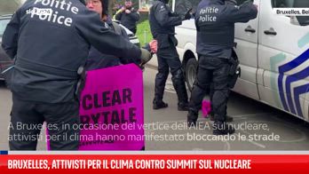 A Bruxelles protesta contro il vertice sul nucleare