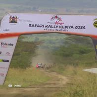 safary rally 2024 zebre