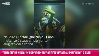 VIDEO Tartarughe Ninja, il sequel sarÃ  vietato ai minori
