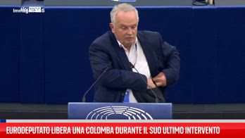 Il suo ultimo intervento, eurodeputato libera una colomba in aula