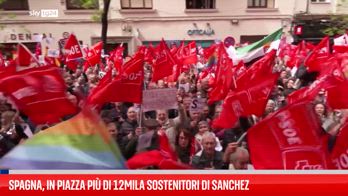 Spagna, migliaia di socialisti chiedono a Sanchez di restare
