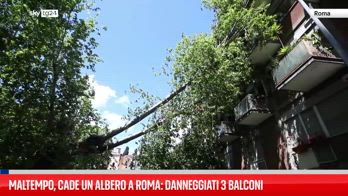 Maltempo, cade un albero a Roma: danneggiati 3 balconi