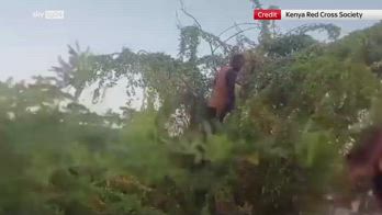 Kenya, soccorso uomo rimasto per 5 giorni su un albero