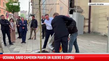 Ucraina, David Cameron pianta un albero a Leopoli