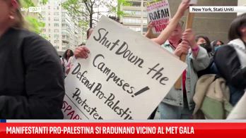 ERROR! Proteste pro-Palestina al Met Gala