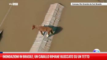 Inondazioni Brasile, cavallo resta bloccato sul tetto