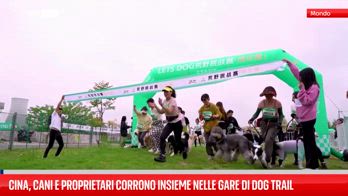 Cina, cani e proprietari corrono insieme nelle gare di dog trail
