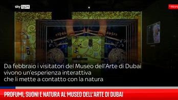 Profumi, suoni e natura al Museo dell’Arte di Dubai