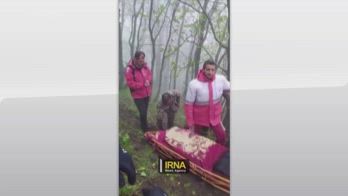 Iran, ritrovati corpi nel bosco dopo caduta elicottero