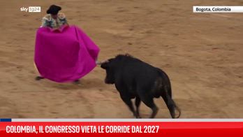 Il Congresso della Colombia vieta le corride
