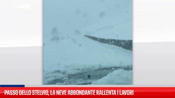 ERROR! Passo dello Stelvio, inizia l'estate sotto la neve