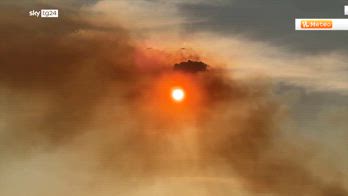 Brasile, Pantanal: brucia la più grande zona umida del mondo