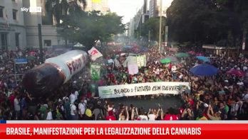 Brasile, manifestazione per la legalizzazione della cannabis