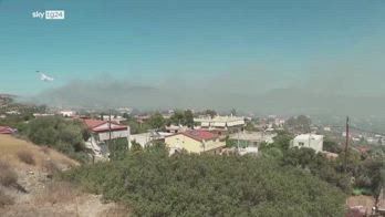 Incendio selvaggio vicino Atene alimentato da forti venti
