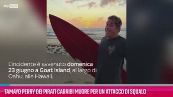 VIDEO Tamayo Perry muore per un attacco di squalo