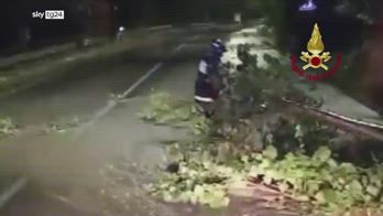Maltempo, alberi caduti in strada nel Chietino