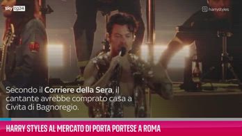 VIDEO Harry Styles al mercato di Porta Portese a Roma