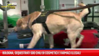 Aeroporto Bologna: scoperta mezza tonnellata di cosmetici e farmaci illegali