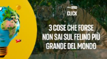 Giornata Mondiale della Tigre, 3 cose che forse non sai