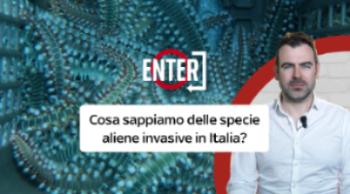 Specie aliene invasive, cosa sono e come contrastarle