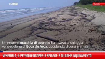 Venezuela, petrolio ricopre spiagge della costa caraibica