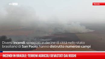 Incendi in Brasile: terreni agricoli devastati dai roghi