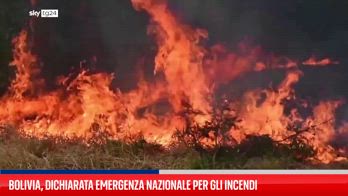 Bolivia, dichiarata emergenza nazionale per gli incendi