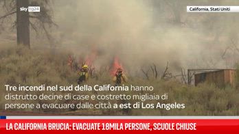 California, decine di case e stazioni sciistiche rase al suolo dagli incendi