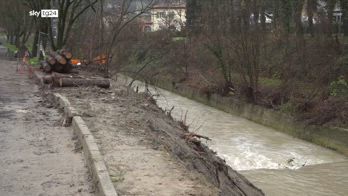 Maltempo Emilia Romagna, sindaco Modigliana: il fiume è esploso