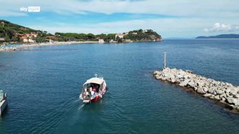 Foresta Blu, dall'Elba uno sguardo verso il futuro